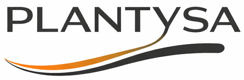 Plantysa